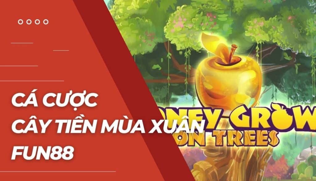 Cá cược Cây tiền mùa xuân là gì?