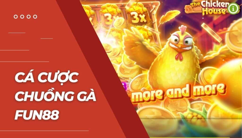 Cá cược Chuồng gà là gì?