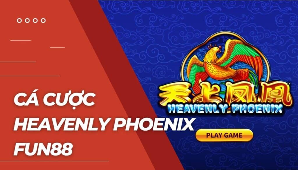 Cá cược Heavenly Phoenix là gì?