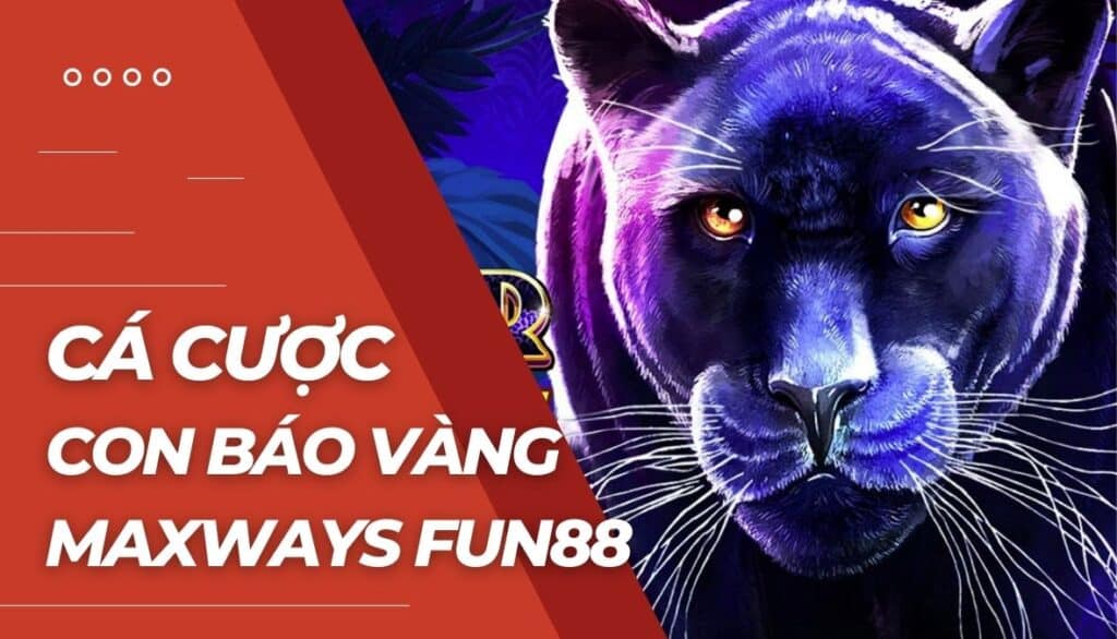 Cá cược Con báo vàng Maxways là gì?