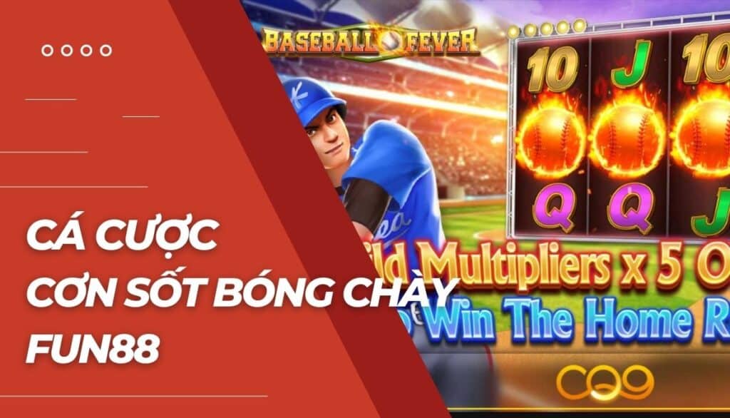 Cá cược Cơn sốt bóng chày là gì?