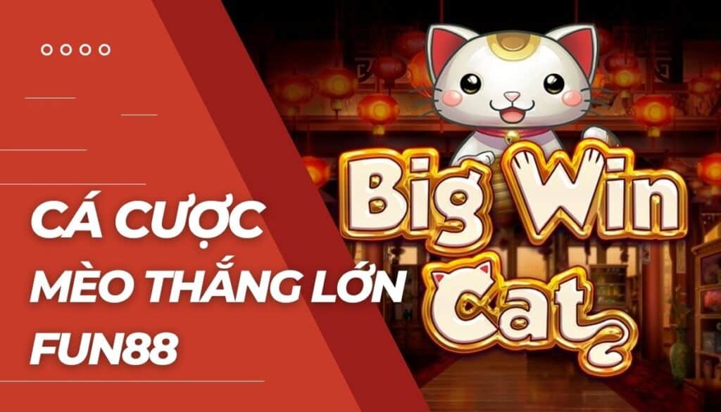 Cá cược Mèo thắng lớn là gì?